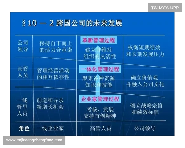 小米林斌谈现职工作:应对国际地缘政治挑战推动企业全球发展 小米林斌谈现职工作:应对国际地缘政治挑战推动企业全球发展